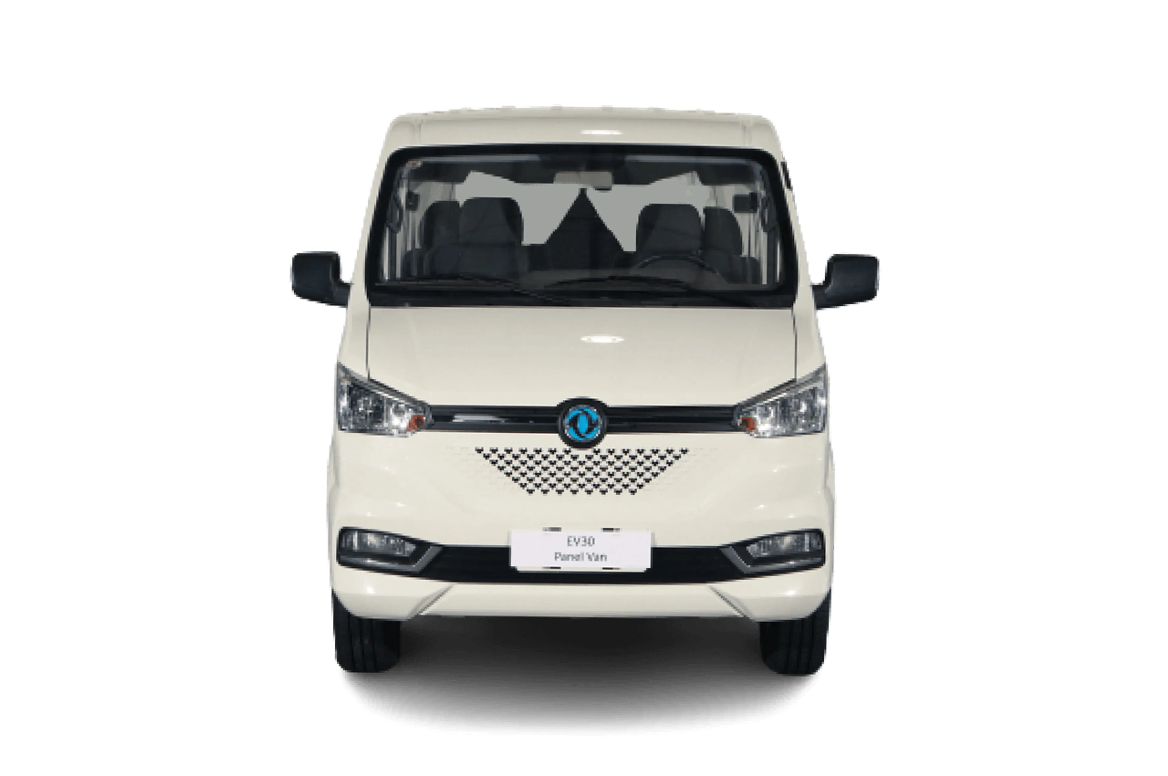 Dongfeng EV30 thumbnail 3