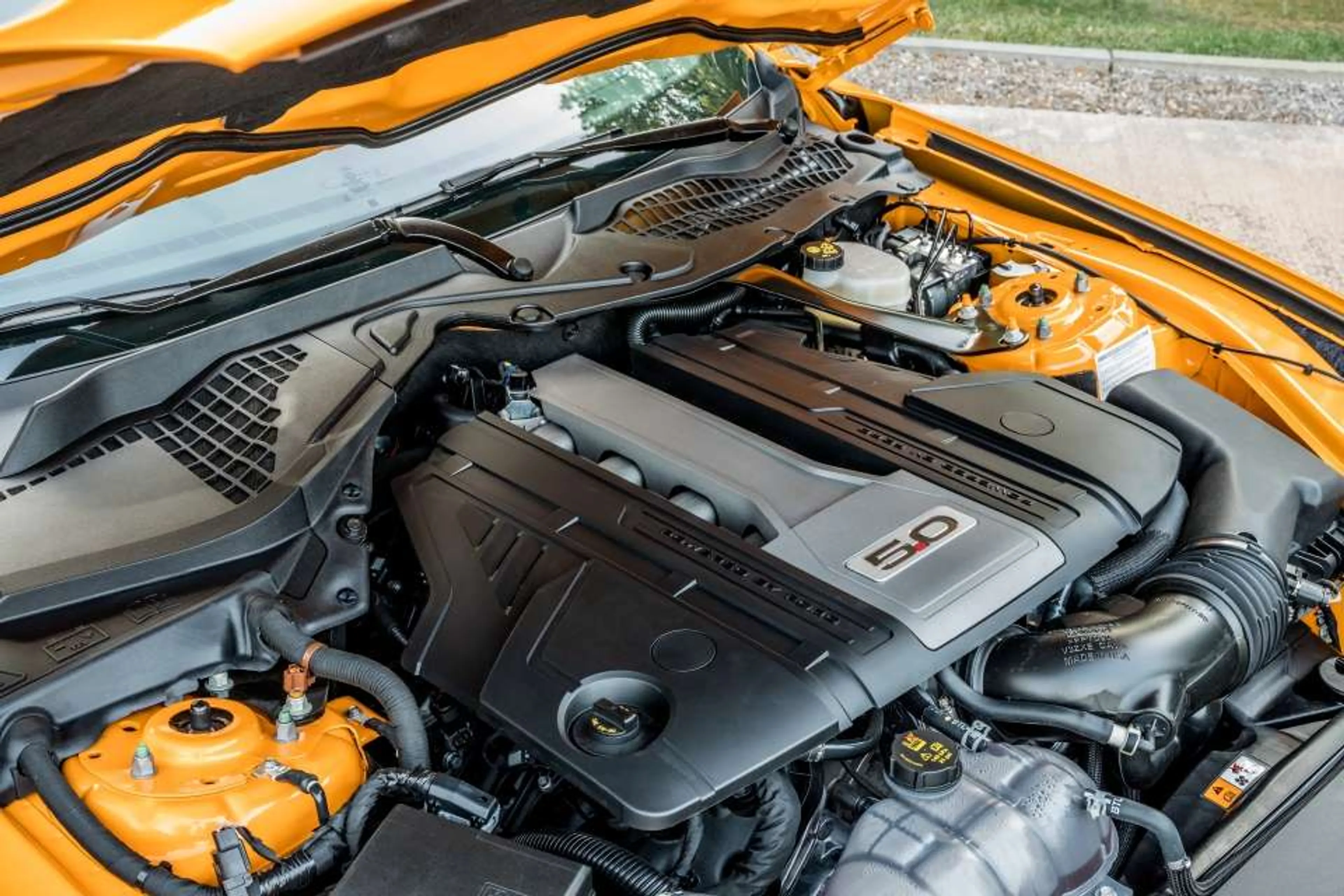 Ford Mustang Fastback thumbnail 4