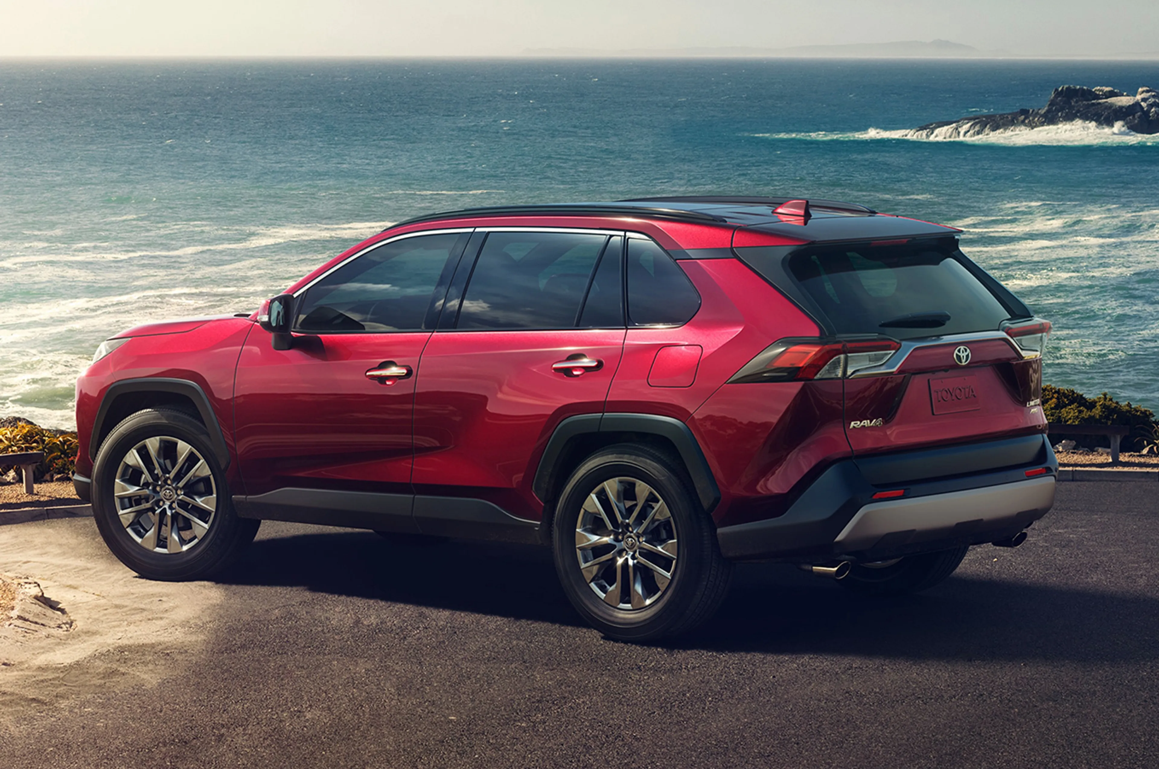 2019 Toyota RAV4 2.5 LTD thumbnail 2