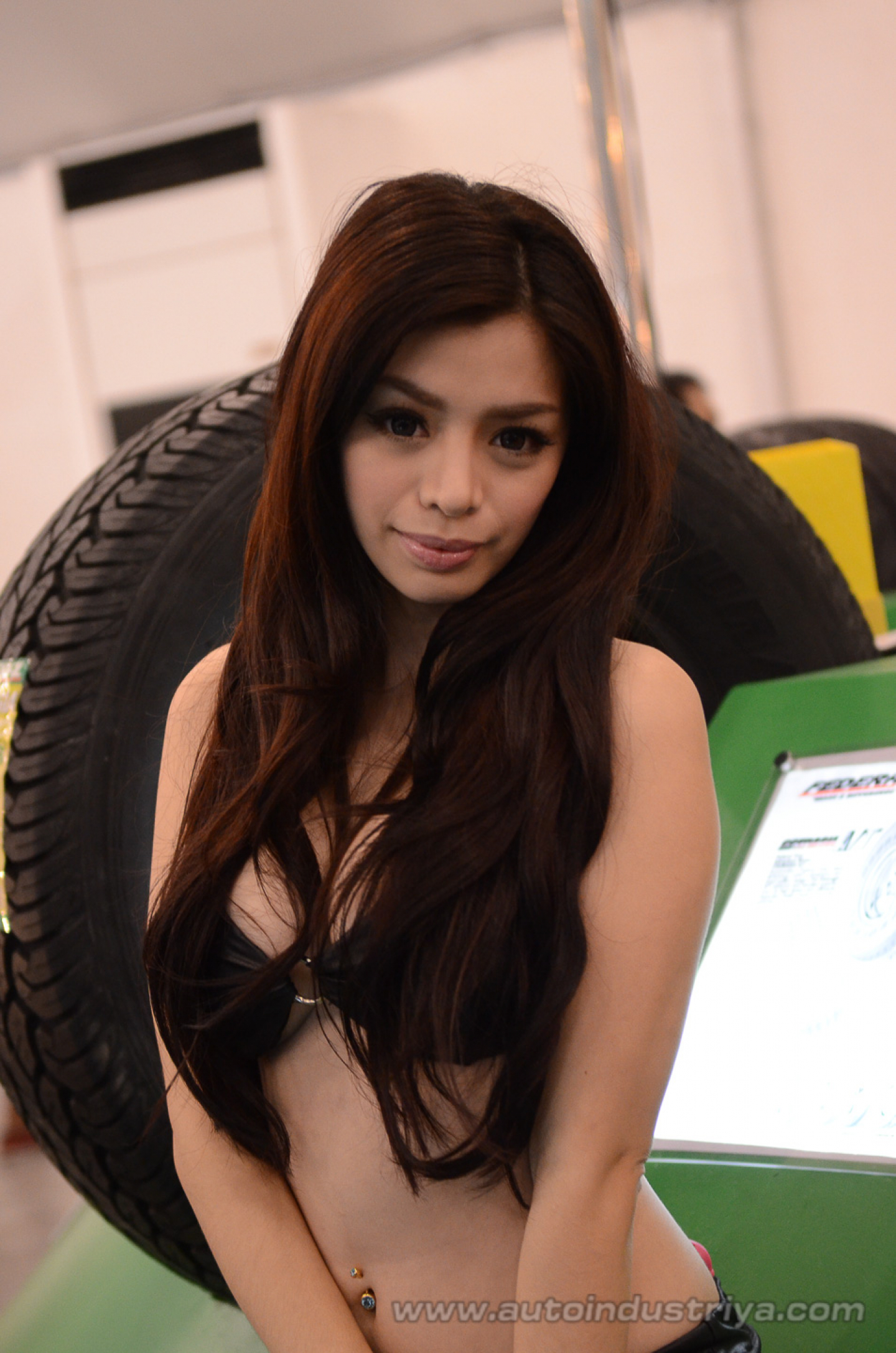 2012 Philippine International Motor Show