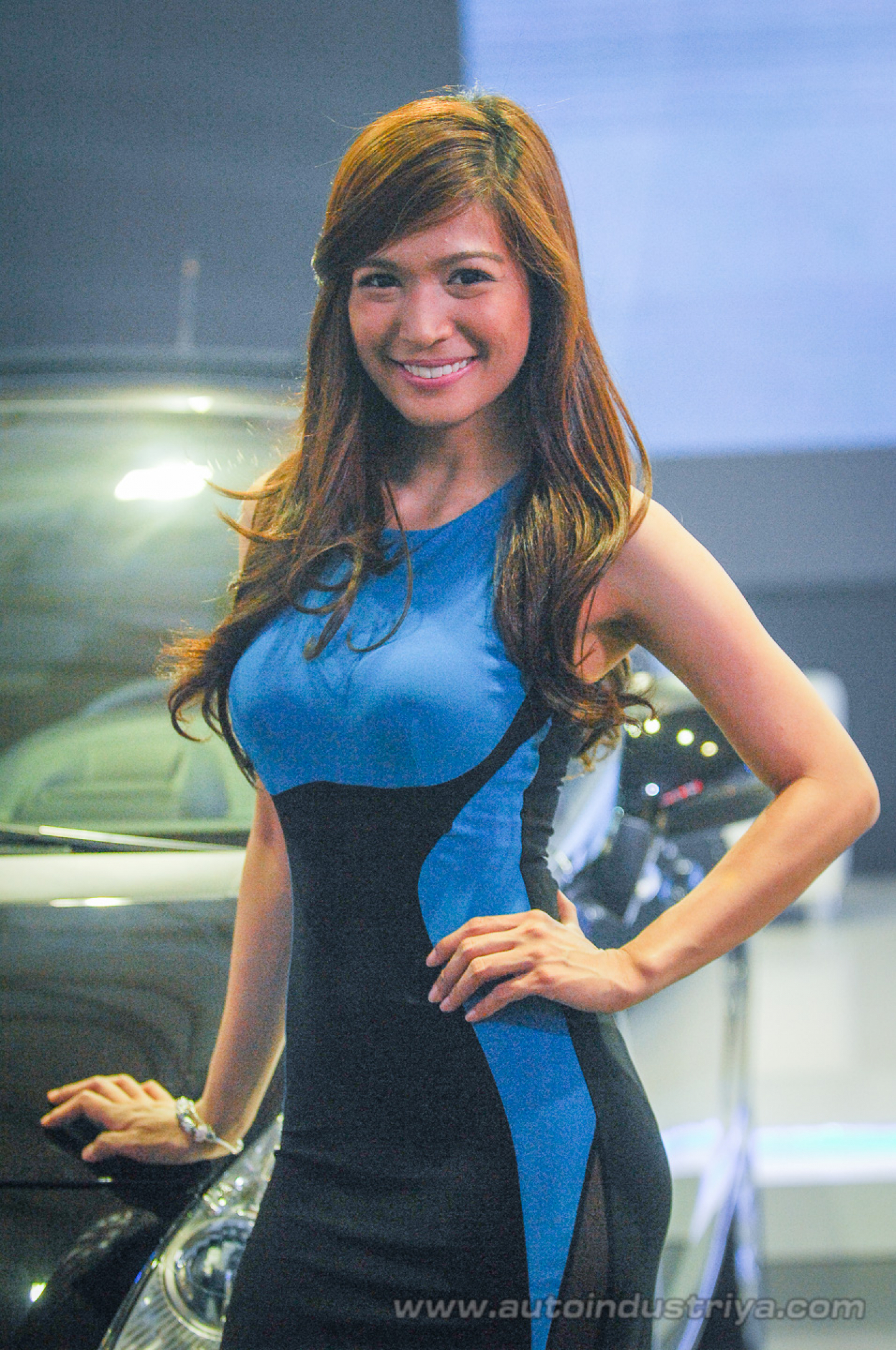 2014 Philippine International Motor Show