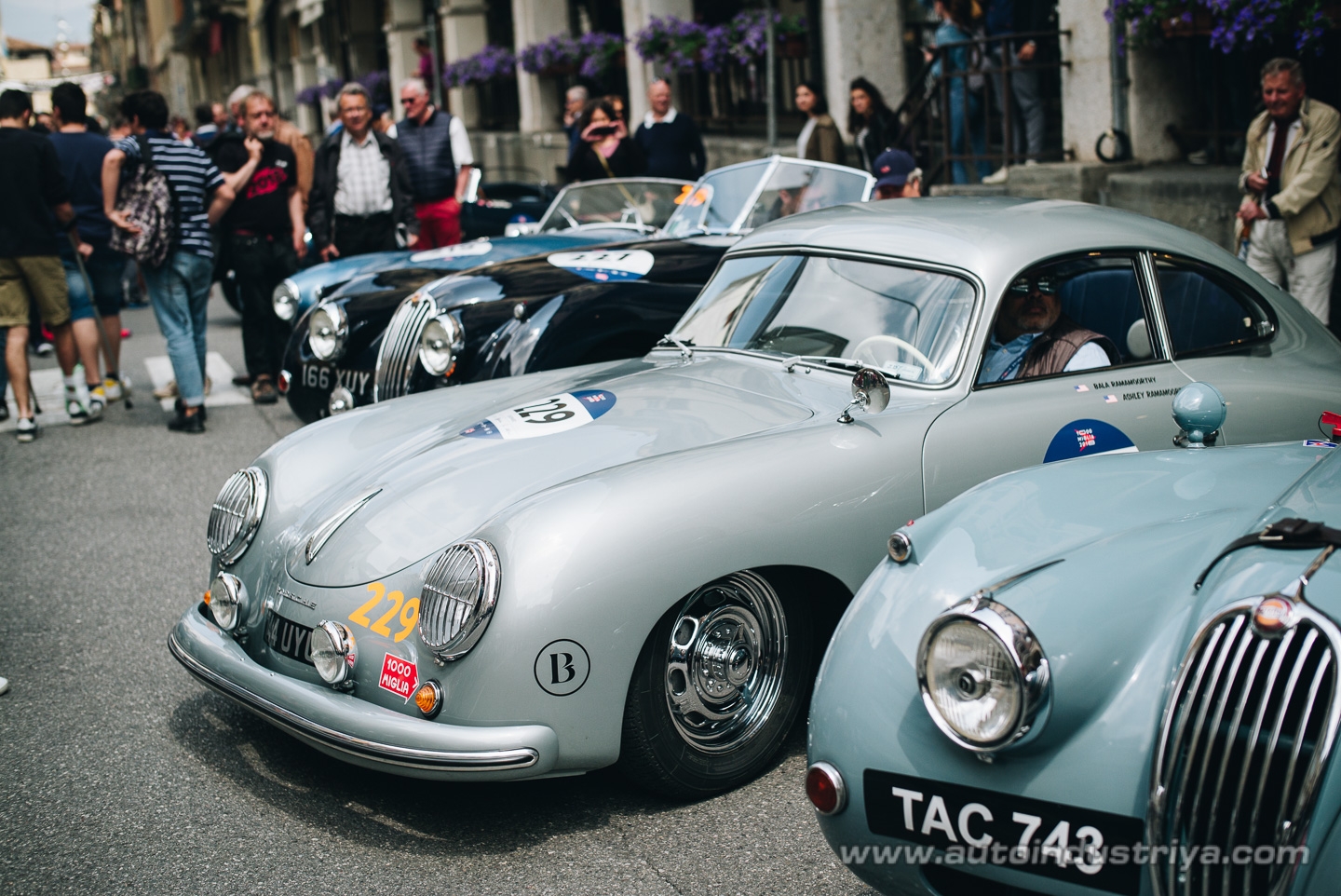 Molto belle = very beautiful