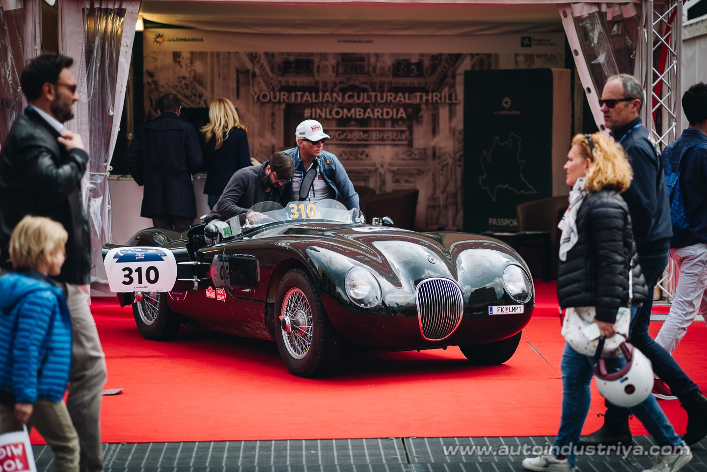 Molto belle = very beautiful