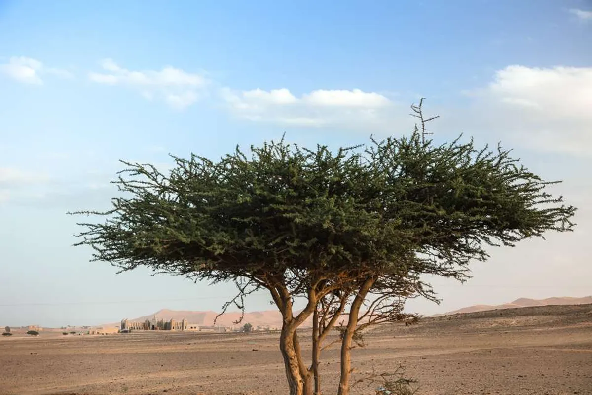 Driving the 2018 Nissan Terra, Titan, Navara, Patrol on the Moroccan Sahara