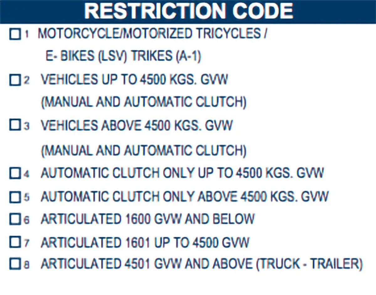 License Restrictions Decoded: what you can or can't drive | AutoIndustriya