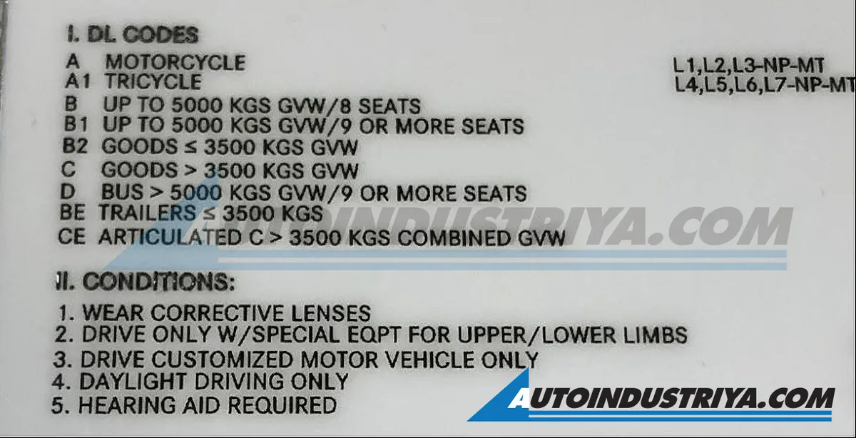 LTO tosses out driver's license restrictions in favor of new 'DL codes ...
