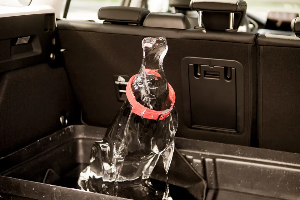 Ford video reveals dangers of leaving kids, pets in parked cars ...