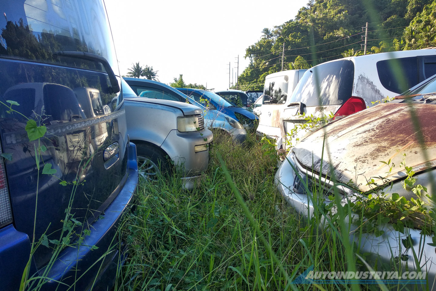 The B-plate Sematary