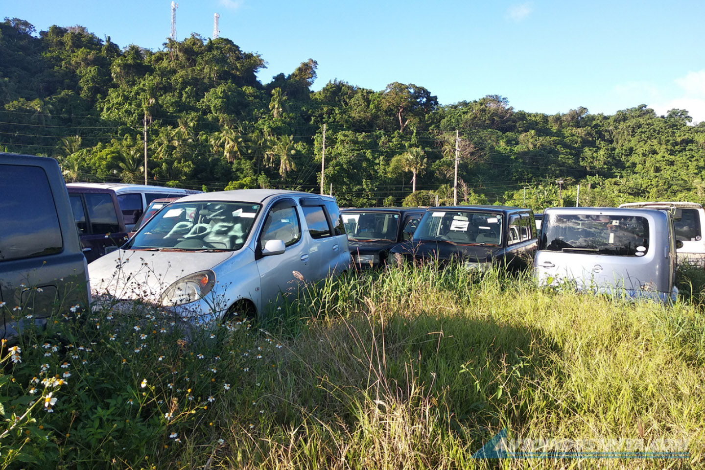 The B-plate Sematary