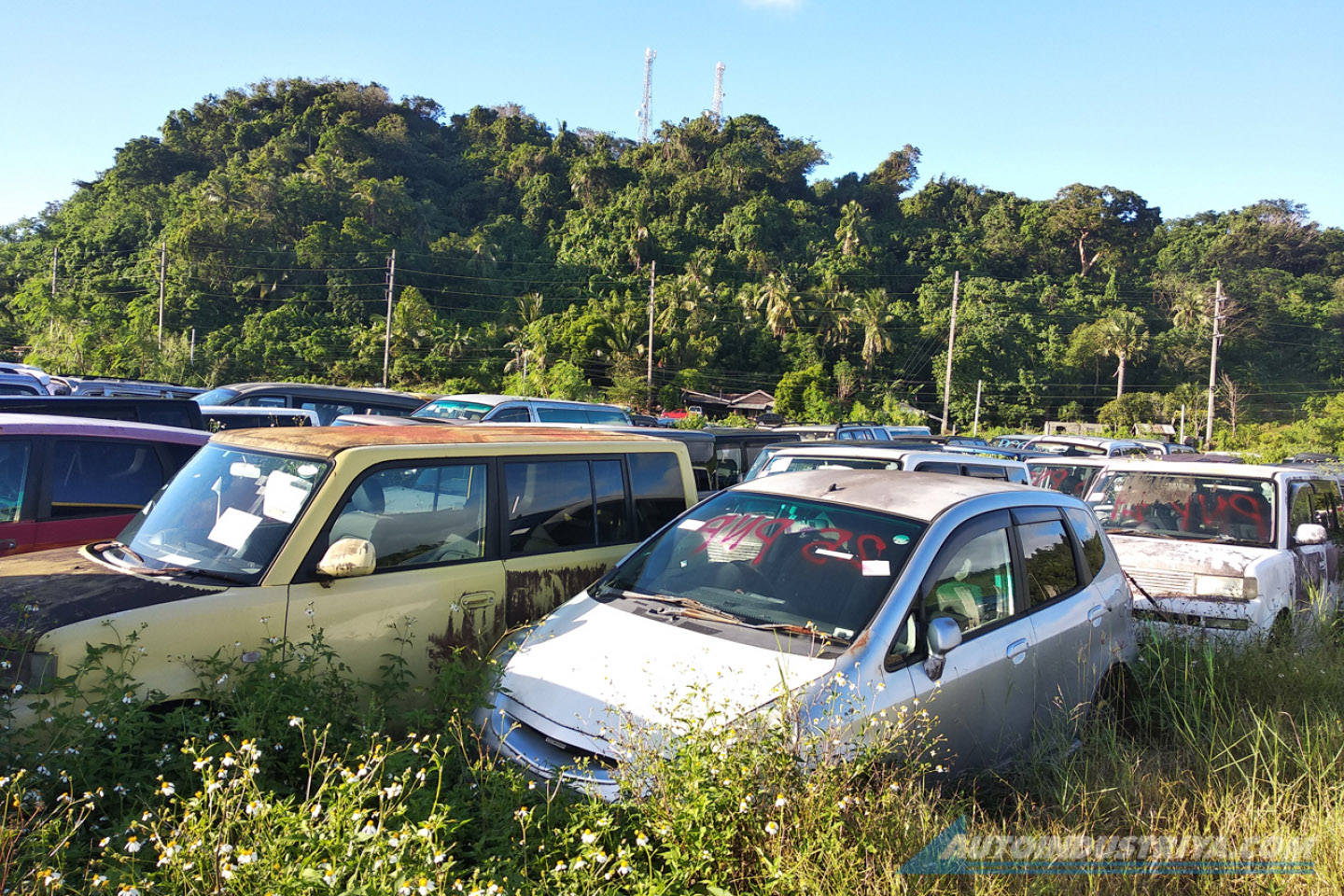 The B-plate Sematary