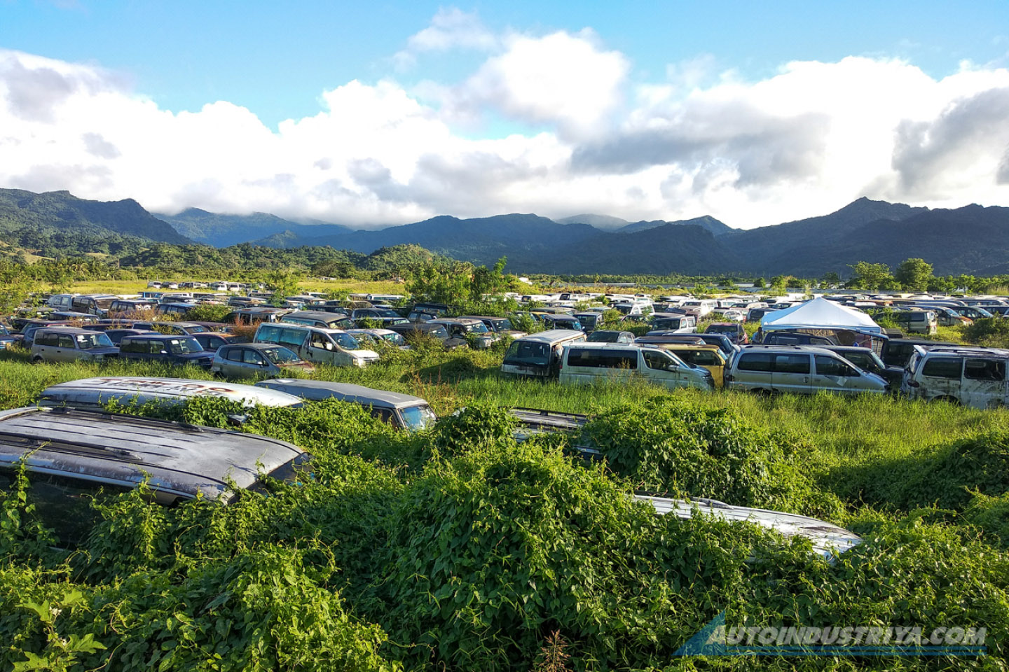 The B-plate Sematary
