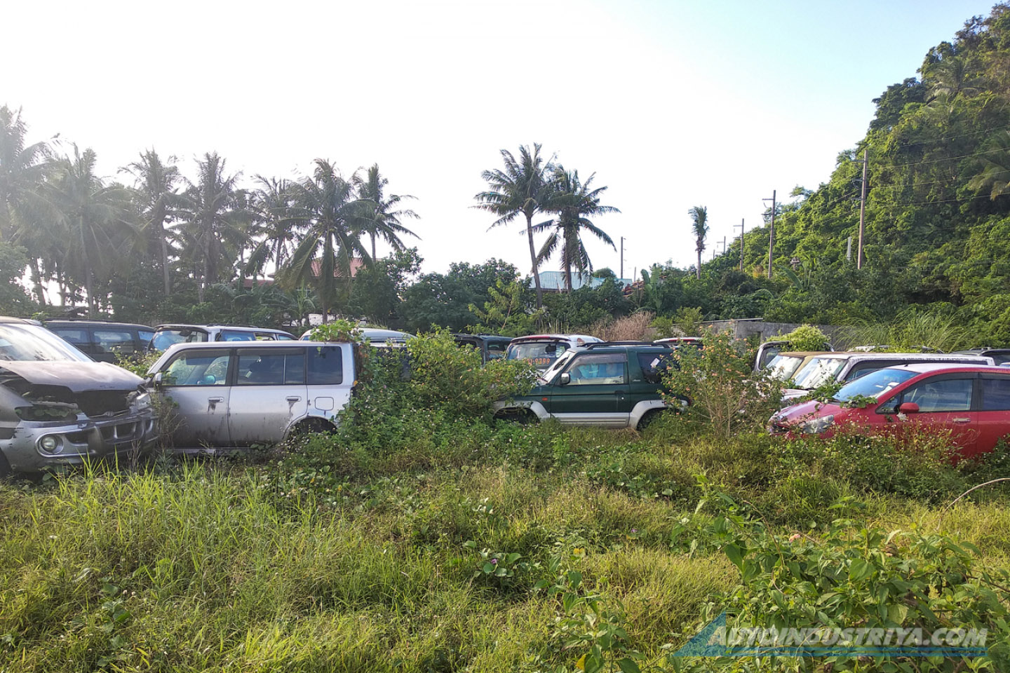 The B-plate Sematary