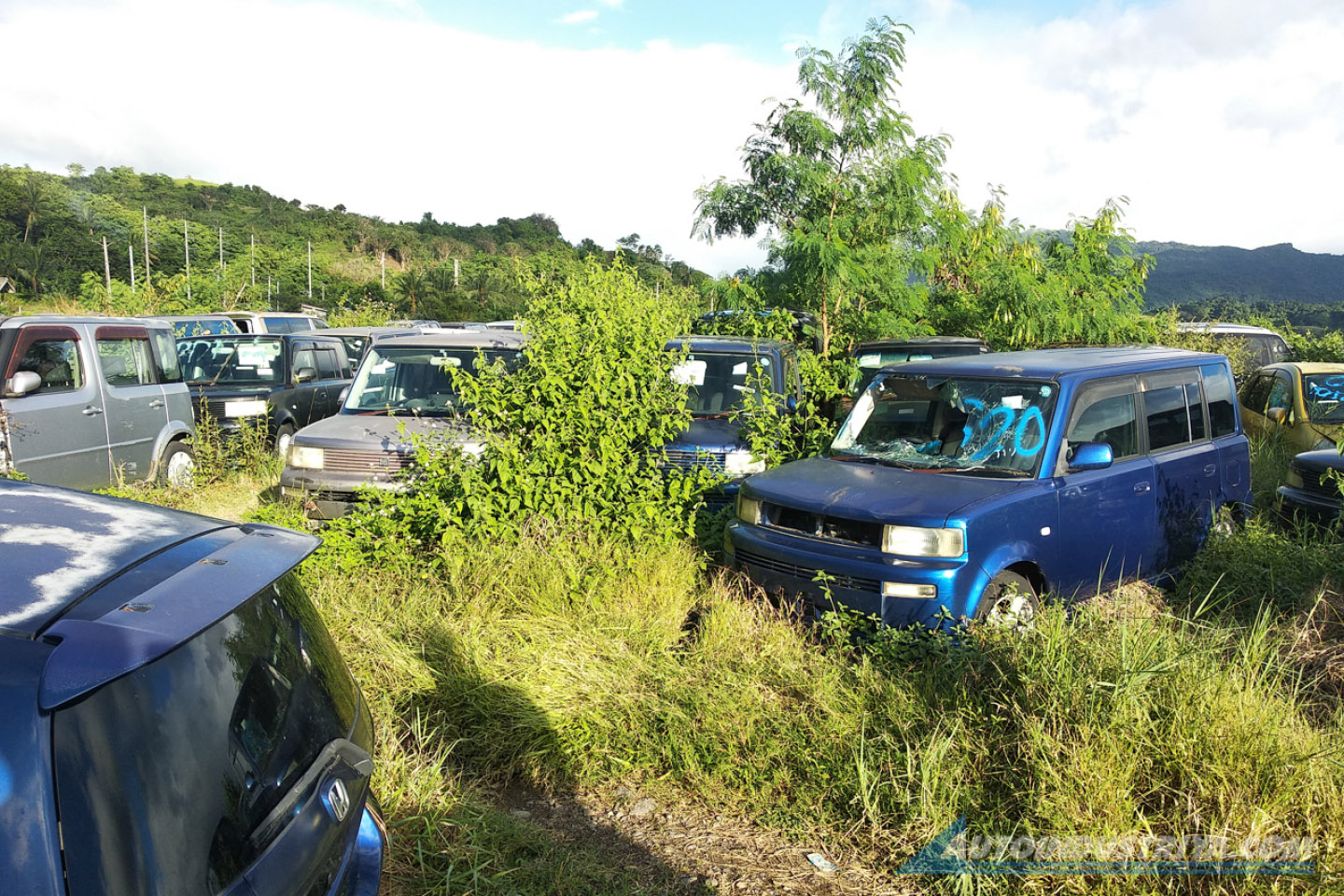 The B-plate Sematary