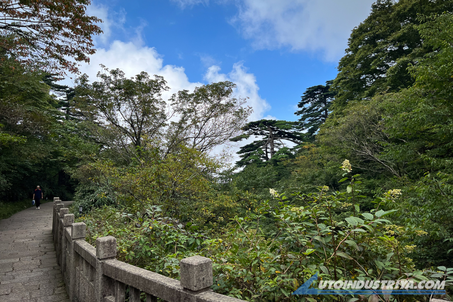 Omoda and Jaecoo: A new way forward