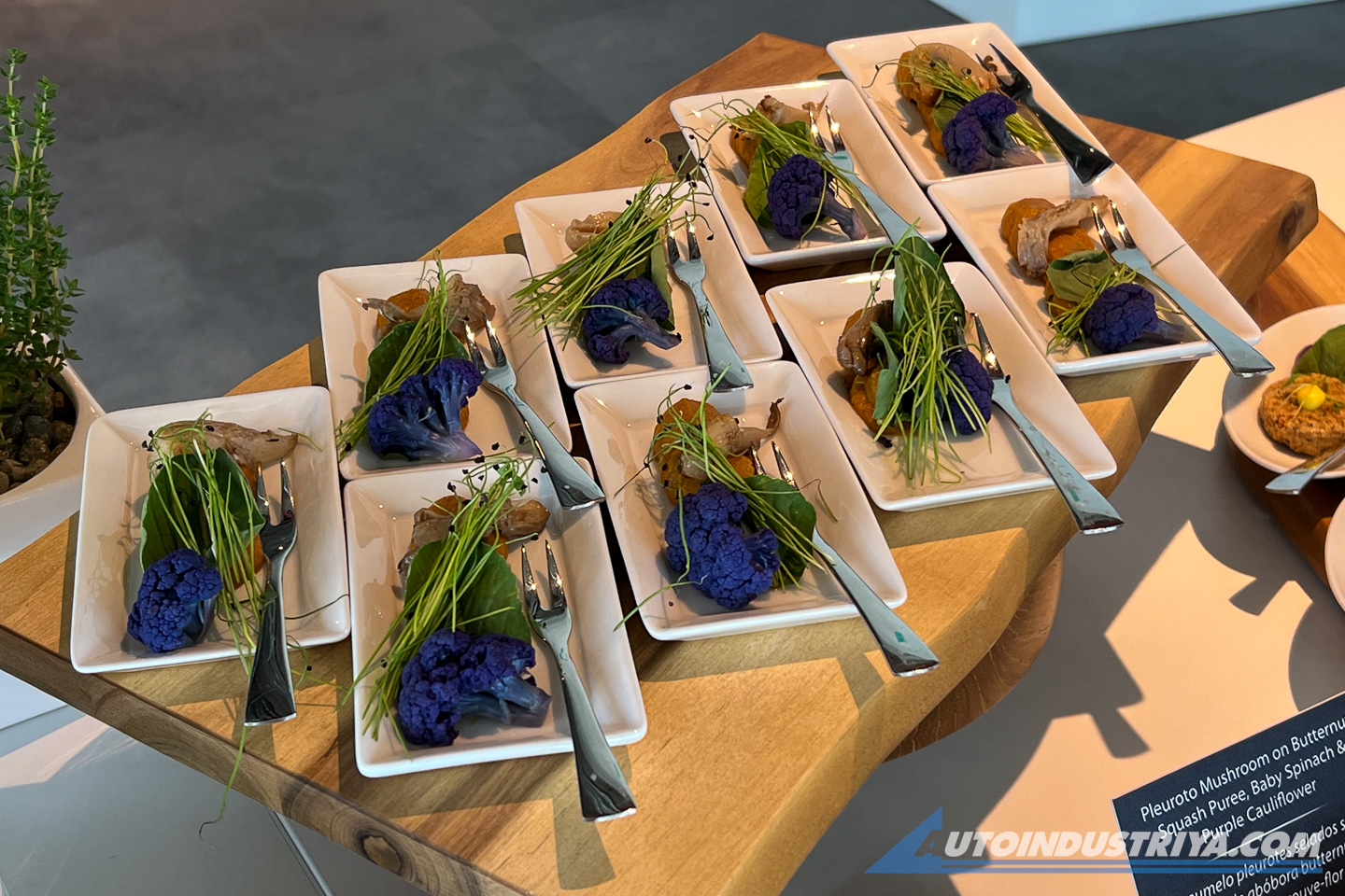 First Drive: BMW i5 eDrive40 and M60 xDrive