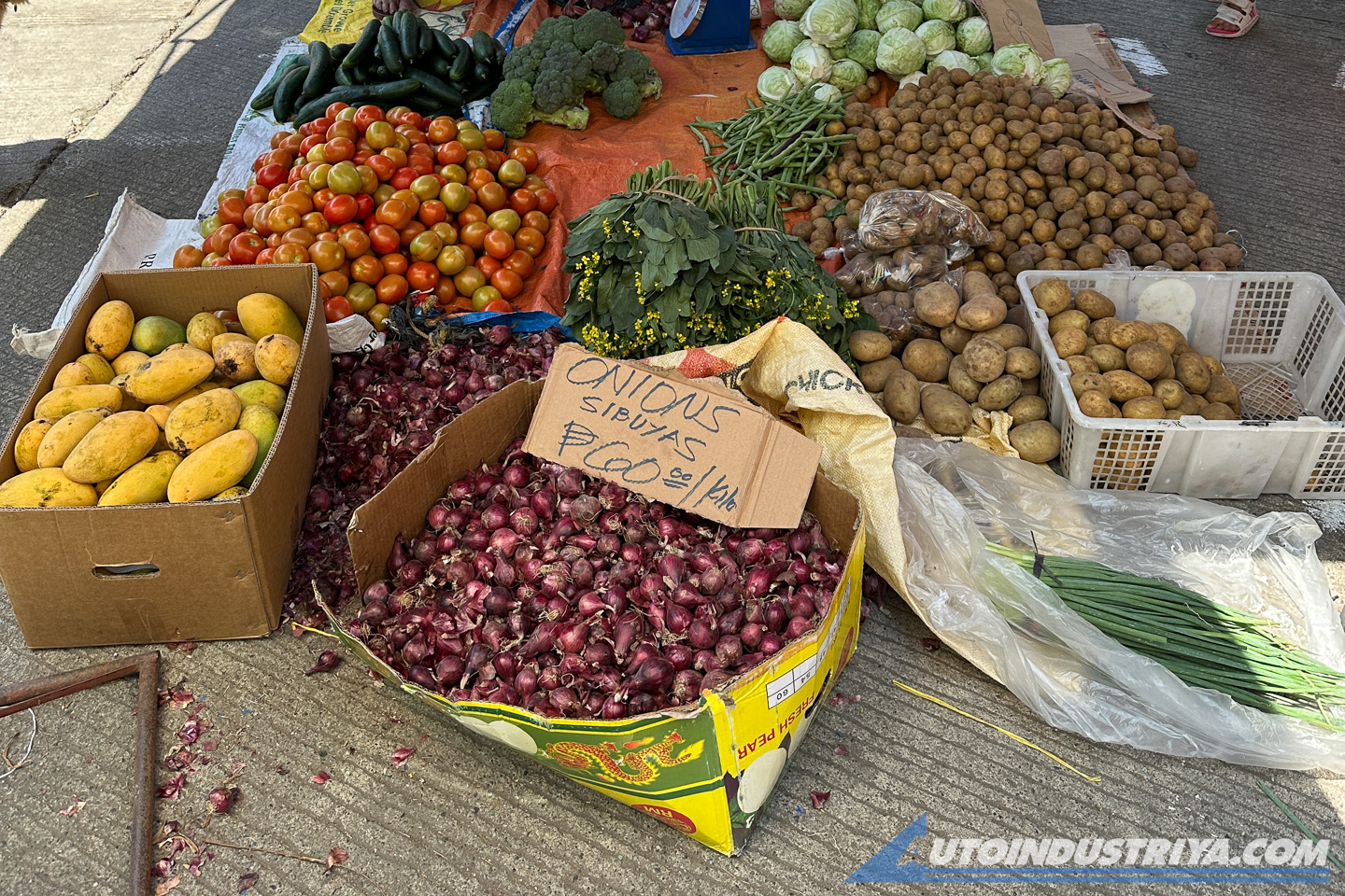 Sagada Drive: Holy Week pause with the Hyundai Tucson HEV