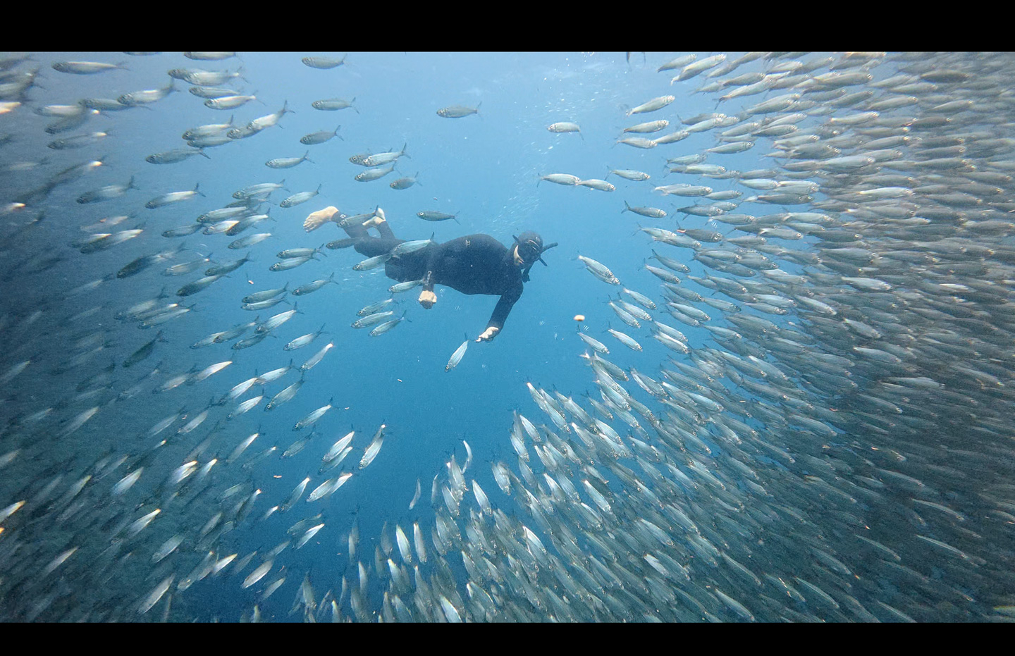 BYD â€œDrive Electric, Love Pinasâ€ campaign sets two Guinness World Records