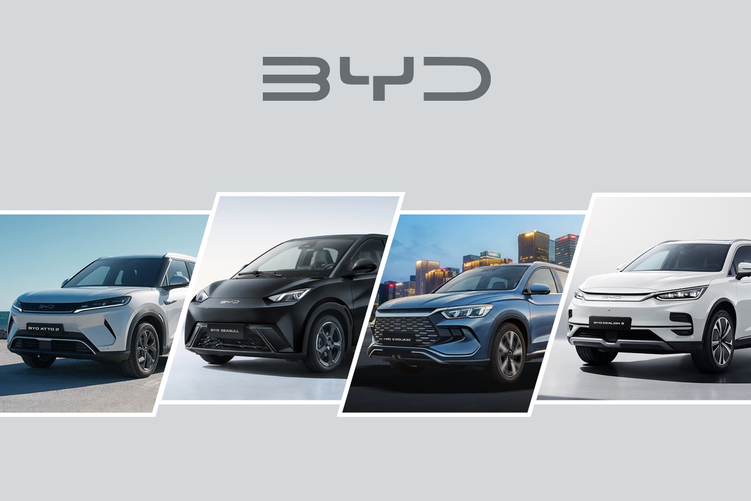 BYD Chairman says they will be the largest automaker in 5 years 