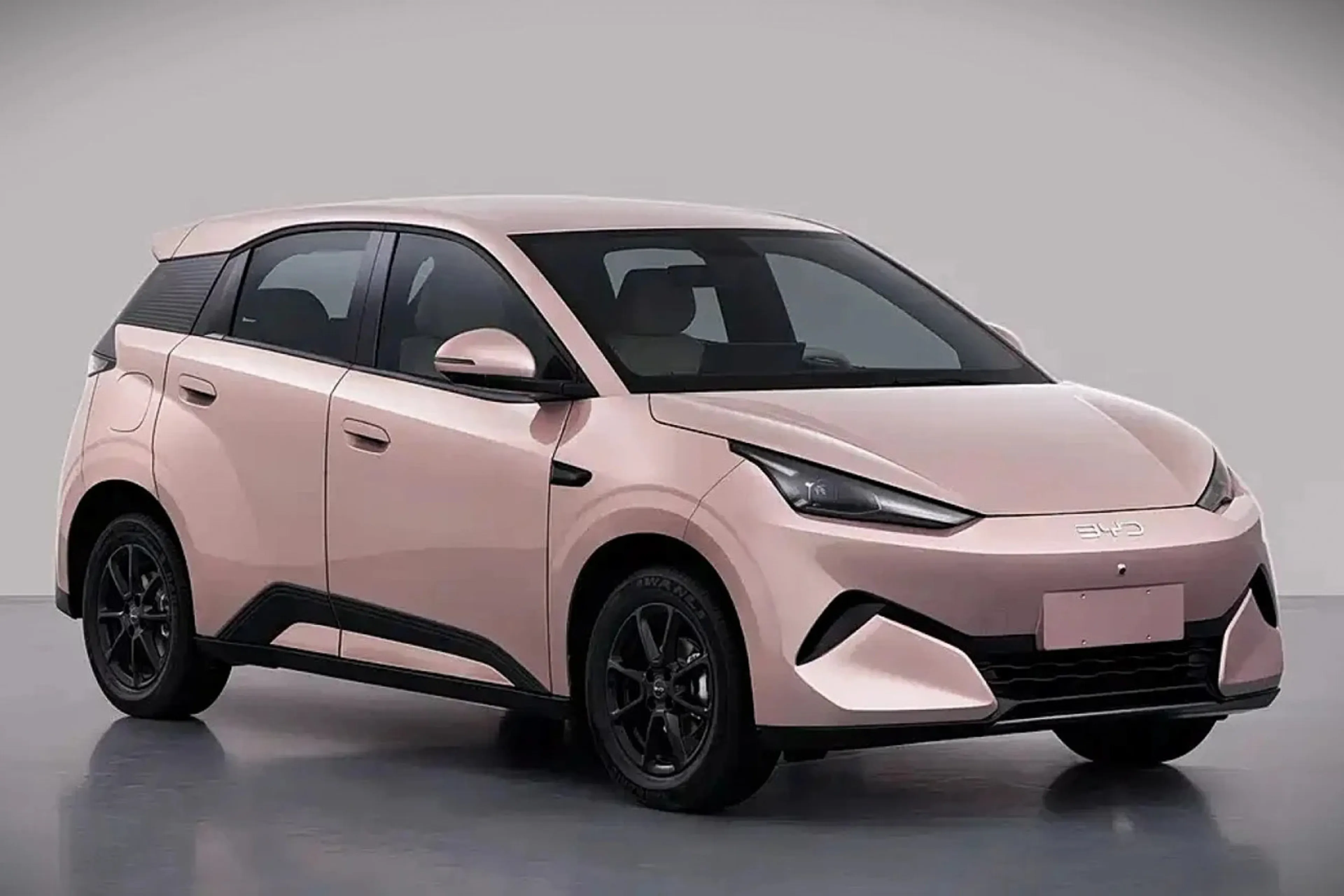 LOOK: Are you the all-new BYD Seagull?