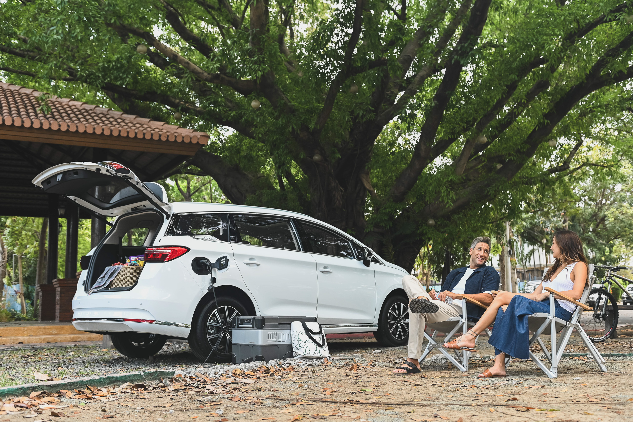One For Every Lifestyle: Owners share how their BYD matches them