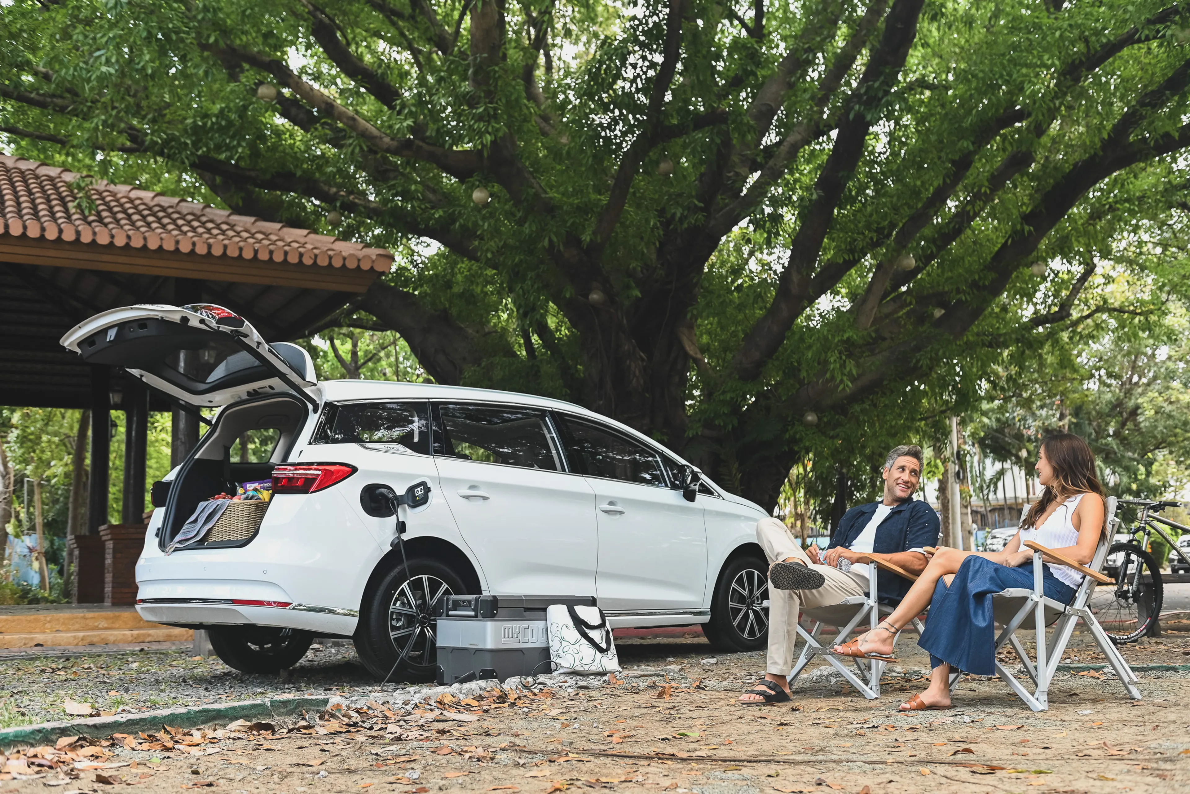 One For Every Lifestyle: Owners share how their BYD matches them