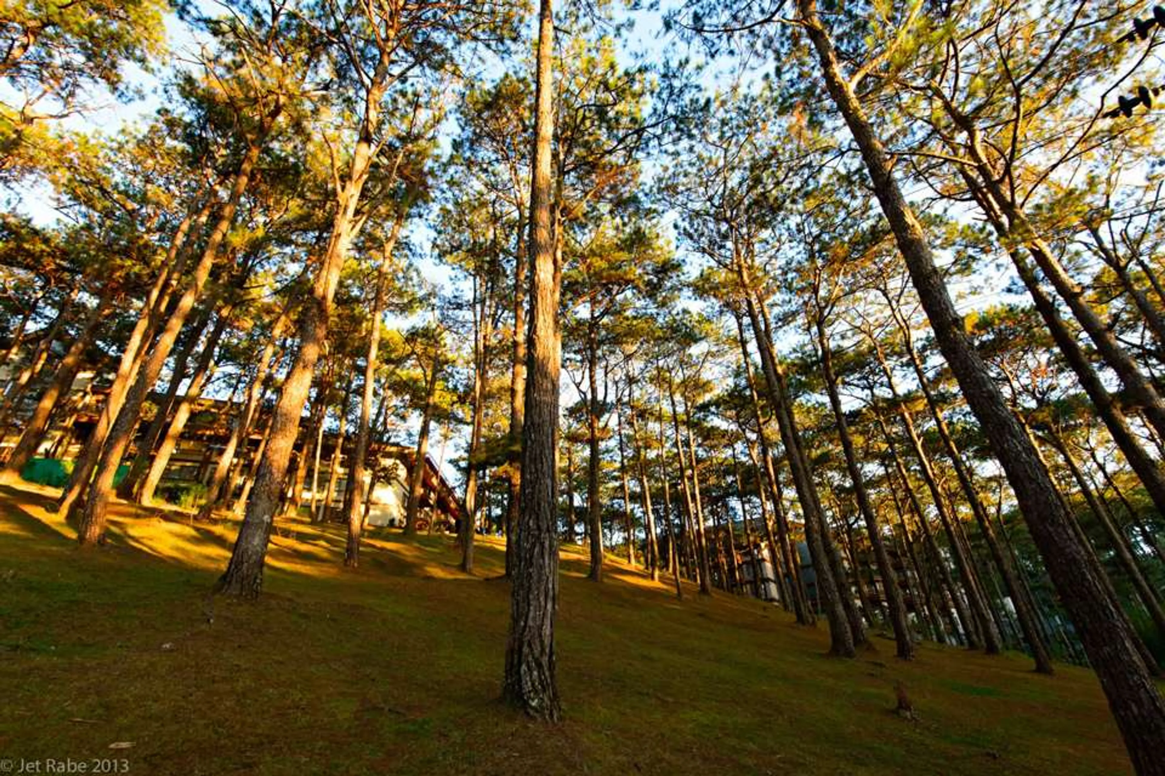 Places to drive in 1988: Heading Northbound