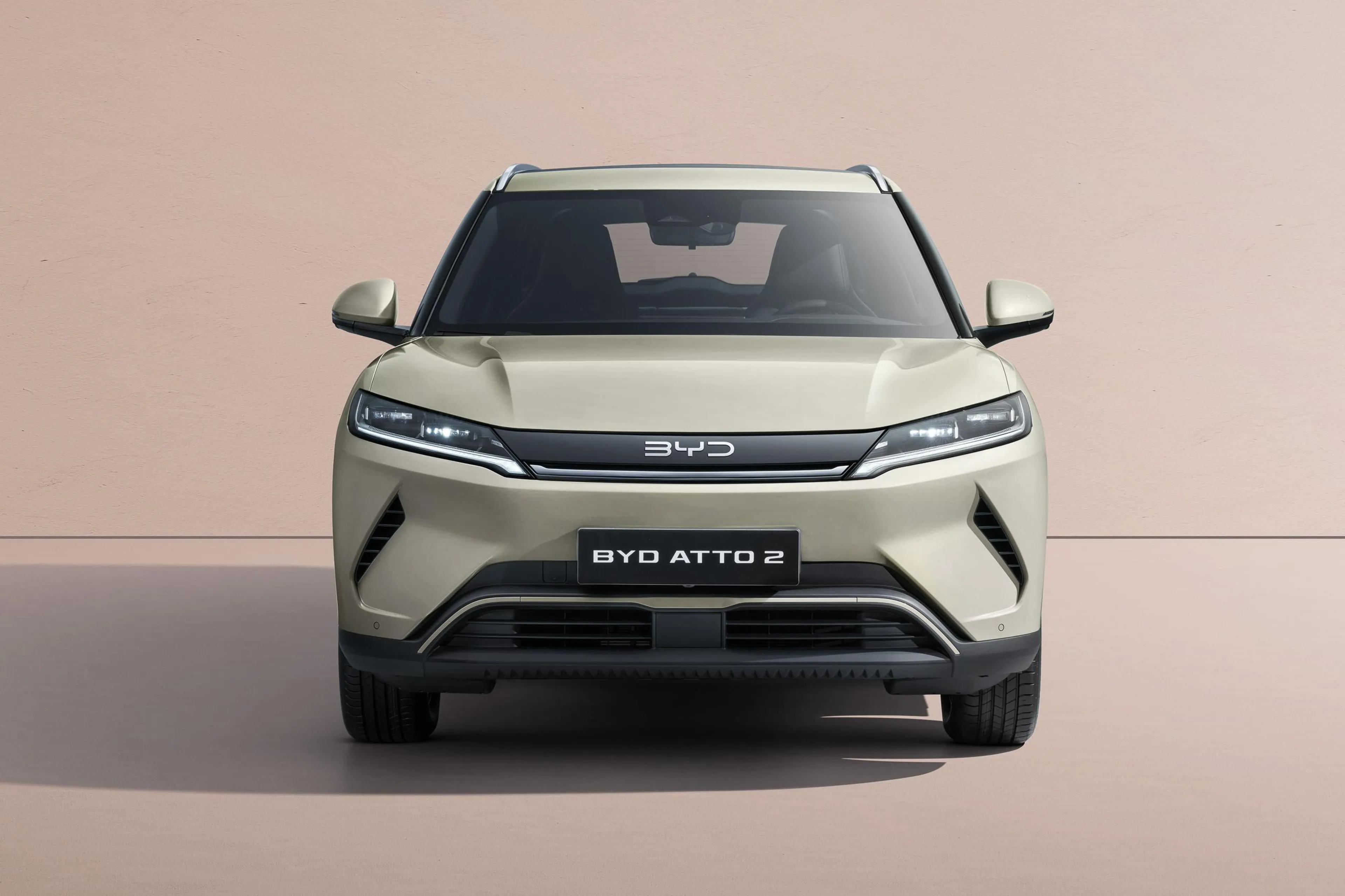 BYD Atto 2 appears on DOE's list of recognized EVs