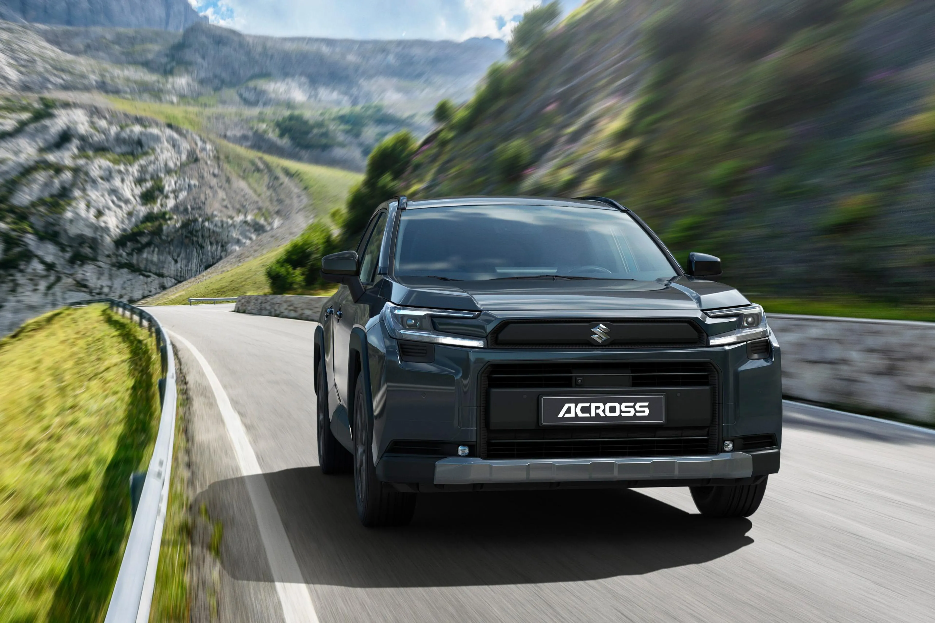 Across PHEV is the RAV4 with Suzuki badges