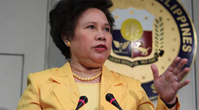 Sen. Defensor-Santiago wants to regulate speed bumps